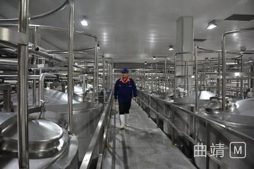 陸良2.8億投資項目順利進入試生產階段，區域經濟迎來發展新動能